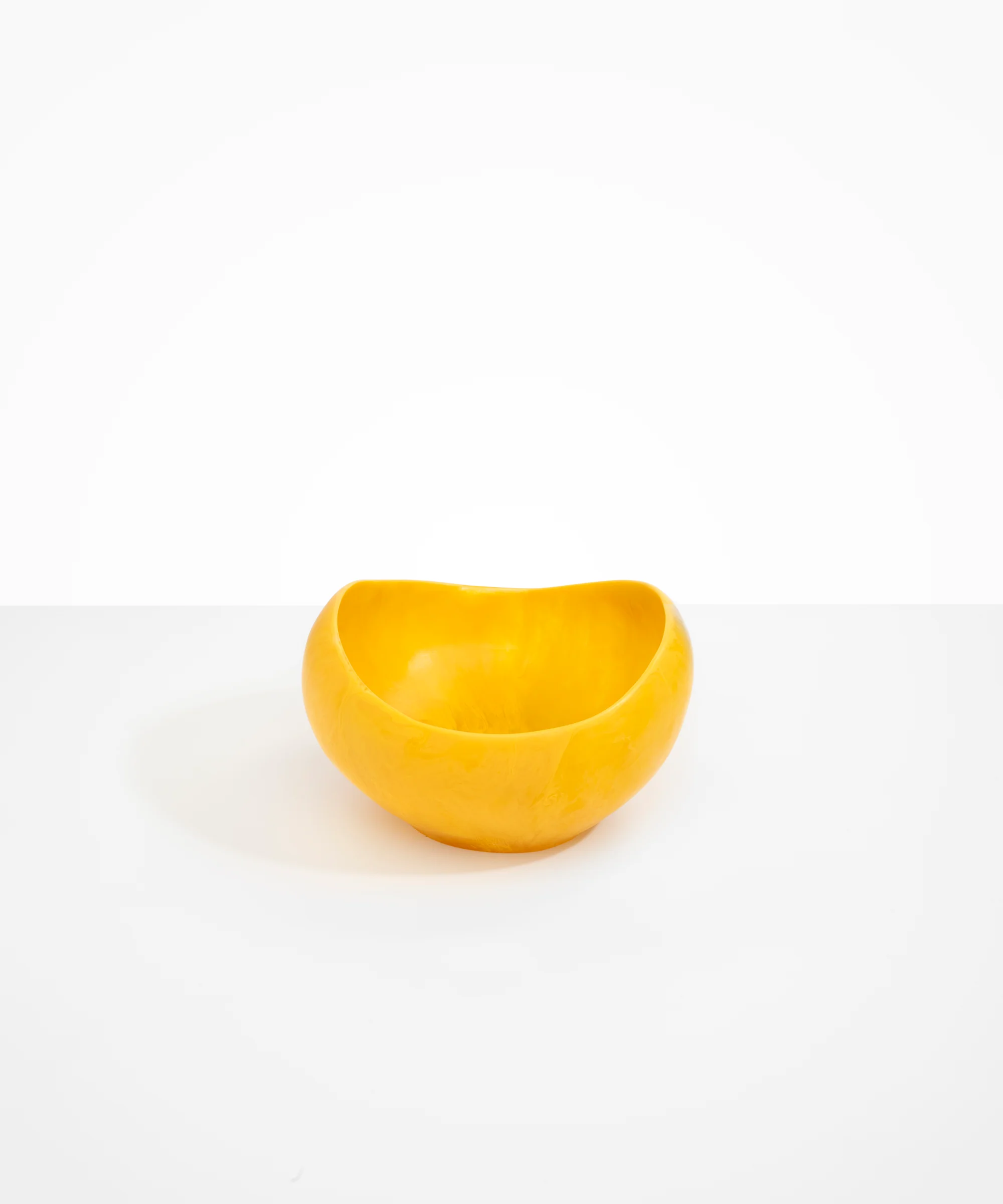 Large Beetle Bowl - Image 29