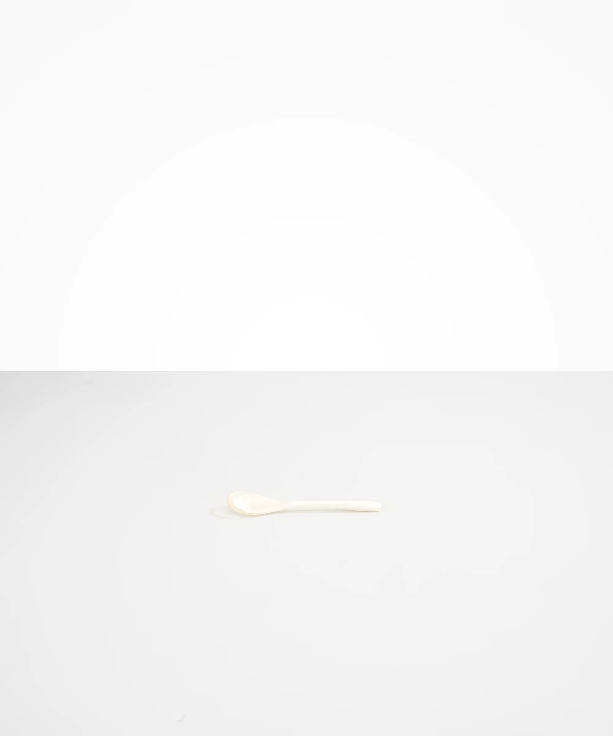 Shell Spoon - Image 16